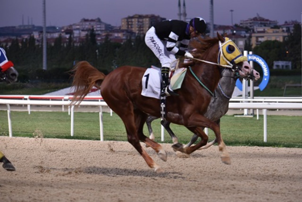 BEŞ BANKO ADAYI - 6 AĞUSTOS İZMİR