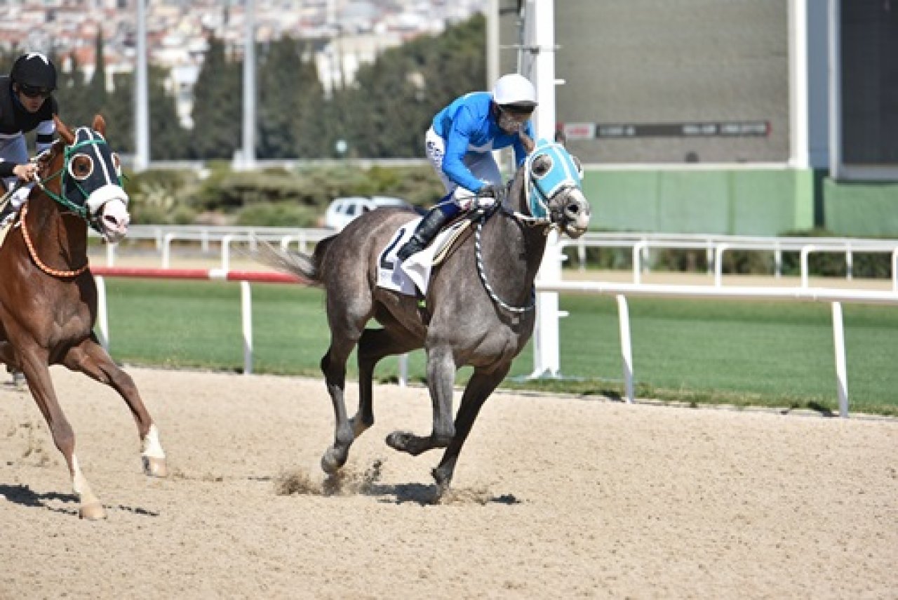 İZMİR TAHMİNLERİM - 1 ARALIK