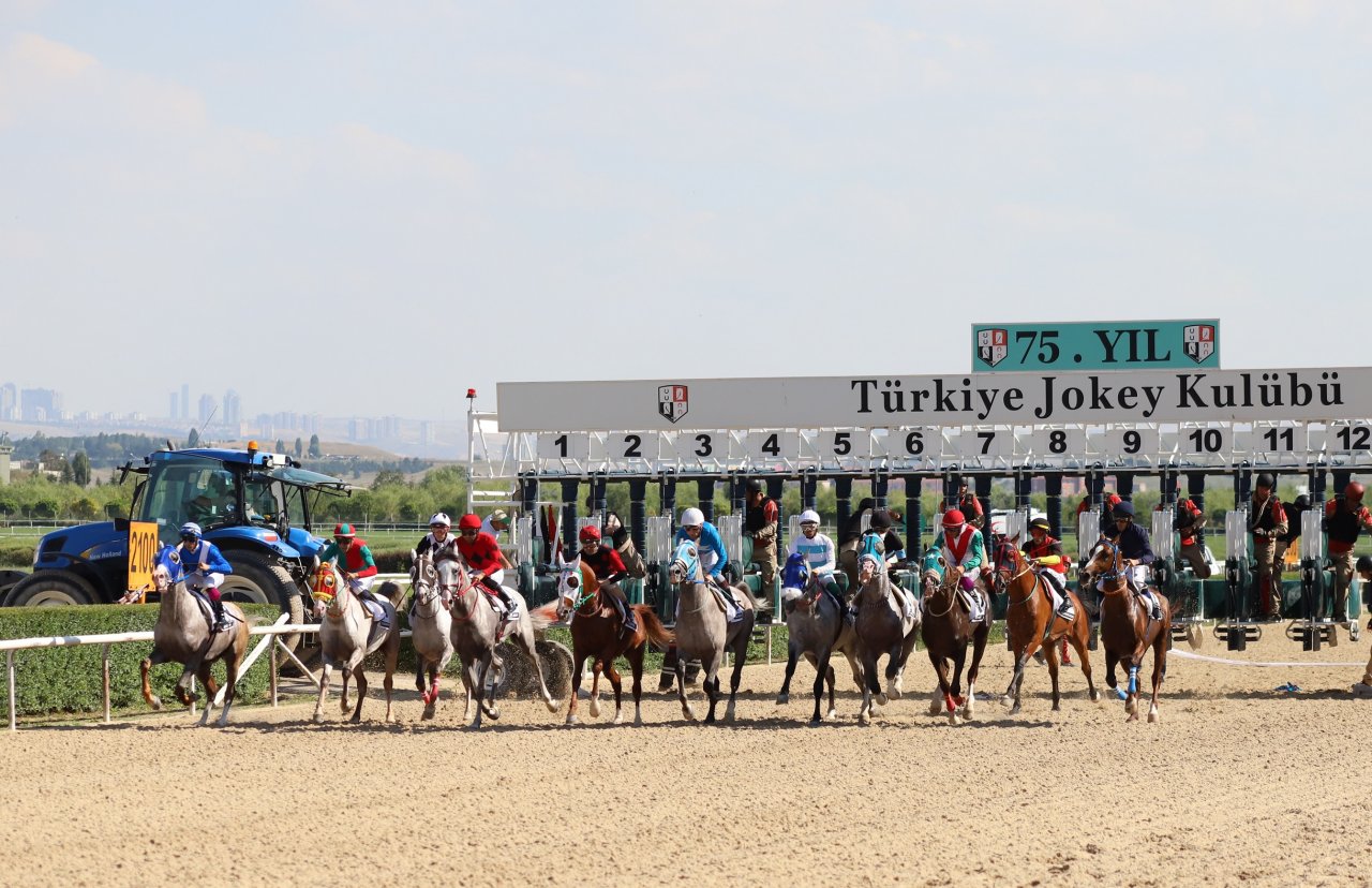 ANKARA TAHMİNLERİM - 13 TEMMUZ