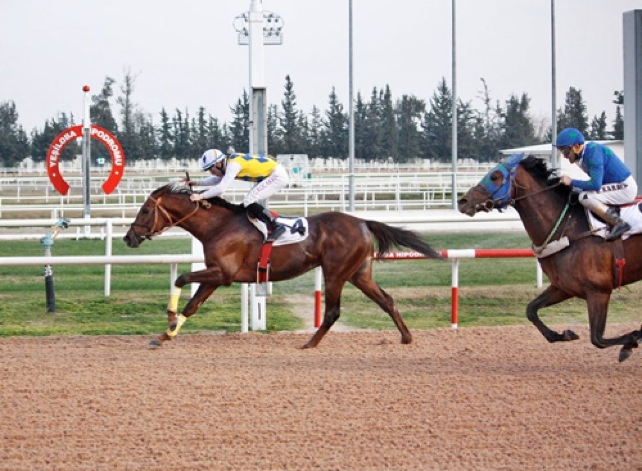 ADANA TAHMİNLERİM - 11 ŞUBAT