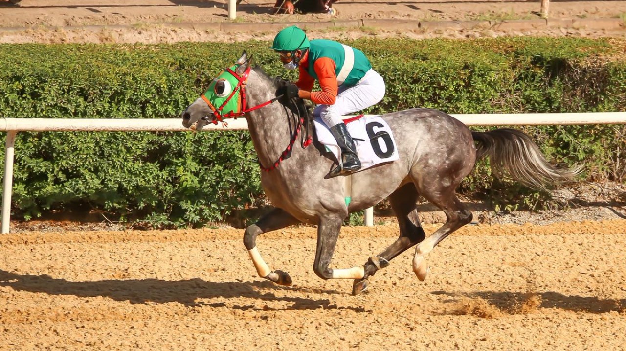 ANKARA TAHMİNLERİM - 8 MAYIS
