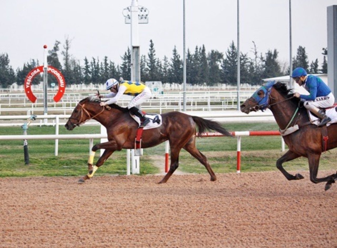 ADANA TAHMİNLERİM - 11 MAYIS