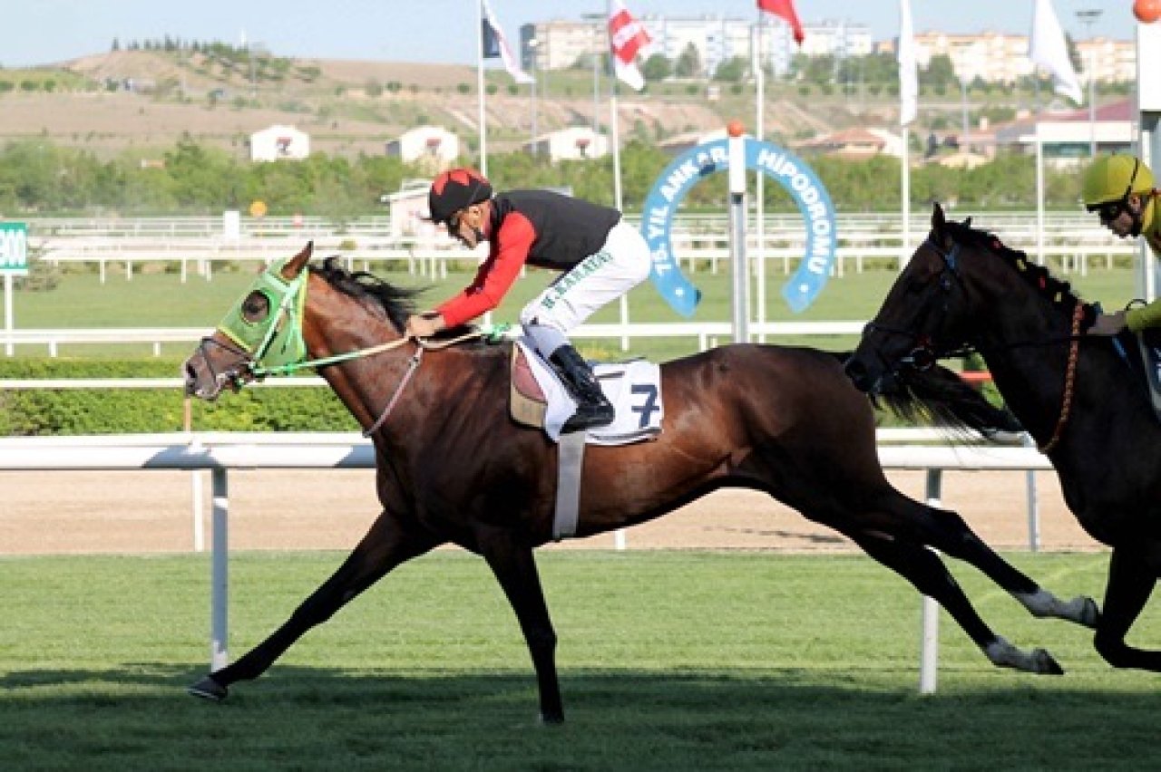 ANKARA TAHMİNLERİM - 17 MAYIS