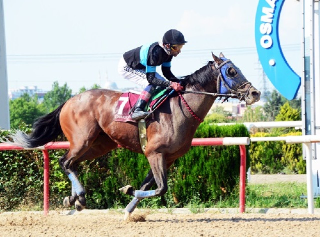BURSA TAHMİNLERİM - 19 MAYIS