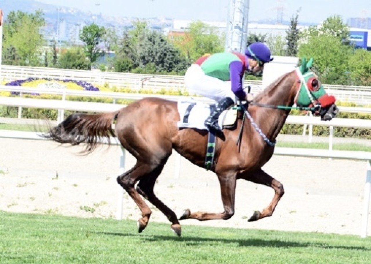 BURSA TAHMİNLERİM - 23 MAYIS