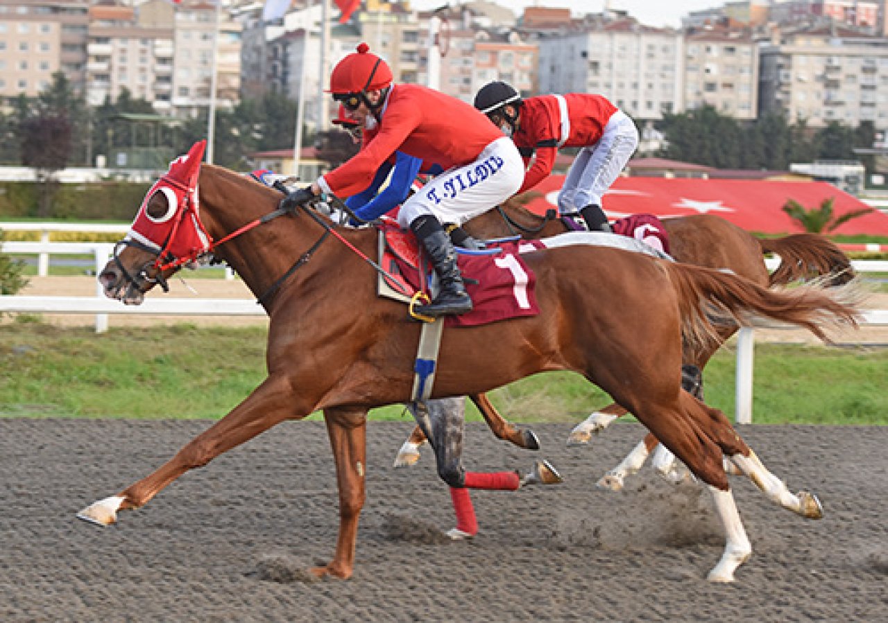 İSTANBUL TAHMİNLERİM - 30 MAYIS