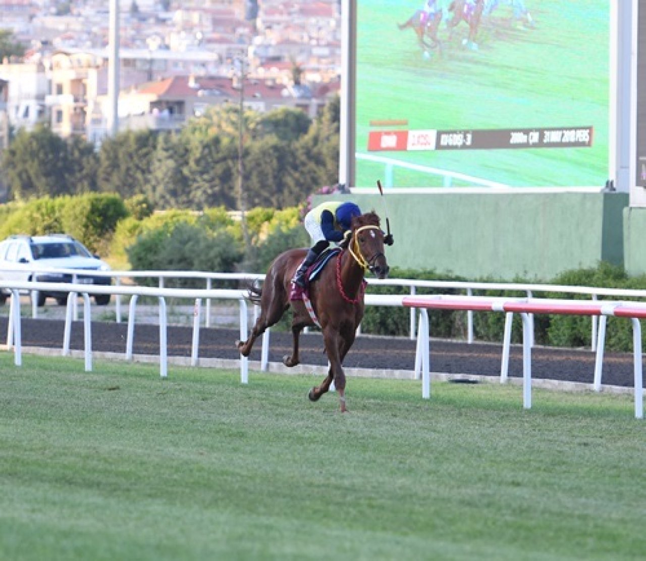 İZMİR TAHMİNLERİM - 31 MAYIS