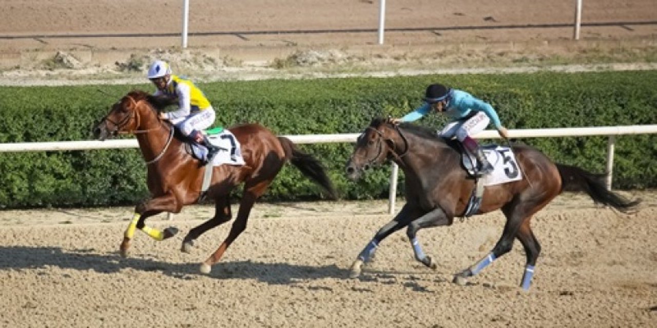 ANKARA TAHMİNLERİM - 5 HAZİRAN